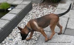 1-1910408 4665638816757 2913734783299296373 n