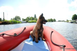 1-19143862 1901044000163570 315802024331559118 o