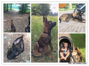 1-19225909 1844182842259321 1965513199665520925 n