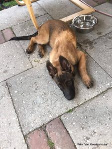 1-19399381 1523997670963930 4937871383190005834 n