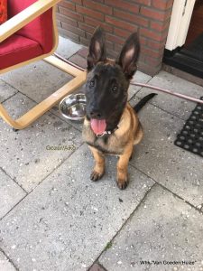 1-19424327 1523997574297273 8606769611634513891 n