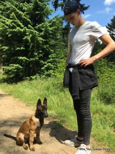 1-19429944 1528400490523648 5251652040798756283 n