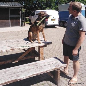 1-196177378 1372269516488671 7995969757584013831 n