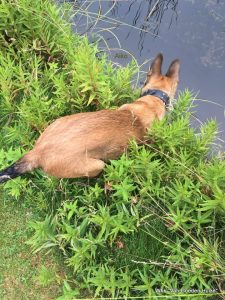 1-19657453 1540224982674532 6463690504464710284 n