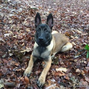 1-19990207 1546658825364481 5059611920258889865 n