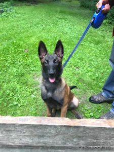 1-19990294 1902303430042221 7142168567400912856 n