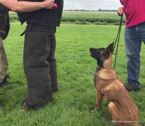 1-20046589 1902303433375554 7783569920320853524 n