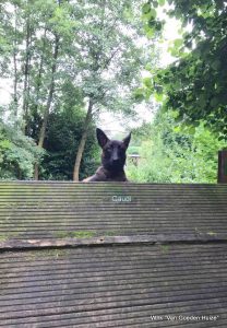 1-20140121 1902303426708888 8983504158947821326 n