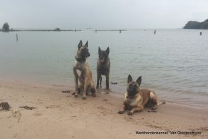 1-20150916 140417 (1)