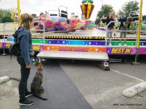 1-2017-06-16 17.53.27 1