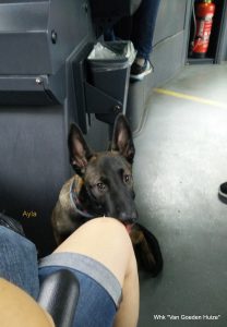 1-2017-06-24 13.38.06