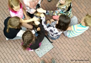 1-2017-06-24 15.57.32