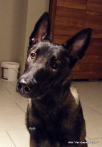 1-2018-01-02 18.01.22