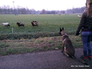 1-2018-01-26 08.33.31