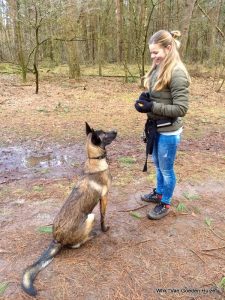 1-2018-02-11 16.00.08