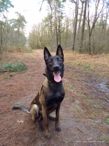 1-2018-02-11 16.00.20