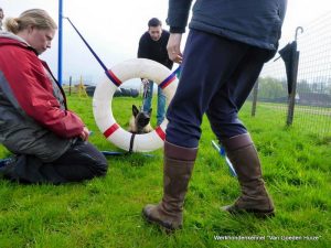 1-21280 841100265960632 8438377801476667027 n