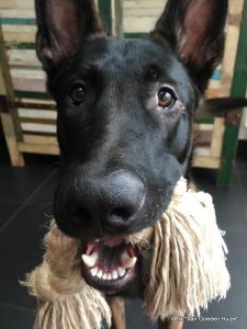 1-26239711 2170593499618252 5987089997305593389 n