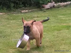 1-34905853 2007465009573384 7345863951407644672 n-001