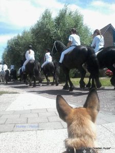 1-34962312 594722110928709 4843337720942034944 n