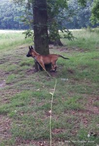 1-35244092 1362780703866463 5746982214202032128 n