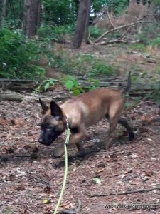 1-35287555 1362780723866461 4521861454650933248 n