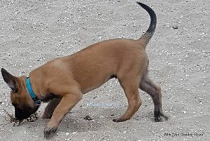 1-35463795 1672041239576775 4266050900398702592 n