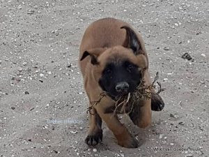 1-35478708 1672041169576782 7652253552366059520 n