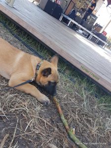 1-35666952 586722328395354 7054694859847761920 n