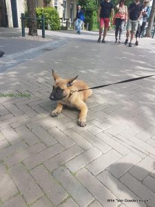 1-35728622 586722398395347 9125537517985071104 n-1