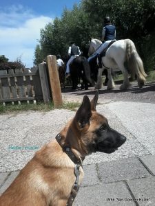 1-36252557 594722184262035 8069925618524880896 n