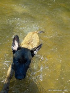 1-36275762 1377916995686167 3540999153125425152 n 1