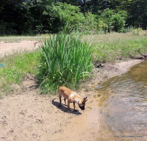 1-36347120 1377917105686156 7623854696028962816 n