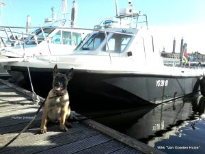 1-36370367 2117058465284823 1834494340165009408 n