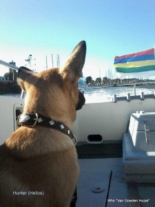 1-36377418 2117058601951476 2312413055046123520 n