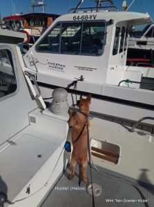 1-36465732 2117058525284817 4736767397506056192 n