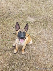 1-37024009 609807196086867 8755893910728867840 n