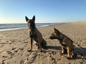 1-37109707 495073364257325 2289300337082761216 n-001