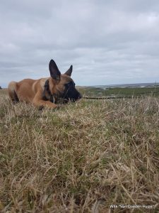 1-37123397 609807226086864 514729195947950080 n