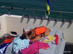 1-37153995 2133820600275276 8933682509988757504 n