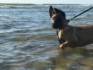 1-37175687 495073437590651 9213982688589905920 n