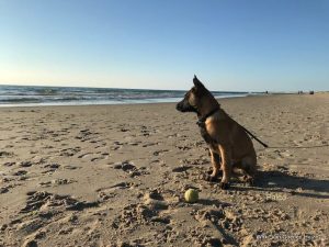 1-37198816 495073377590657 1237099333145329664 n