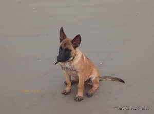 1-37421763 2140838099573526 1996392324933877760 n