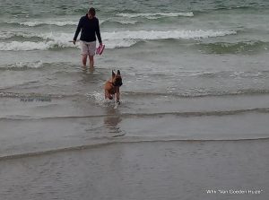 1-37554951 2140838056240197 6890735806172889088 n