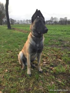 1-47682593 798772830469042 7712999353597558784 n