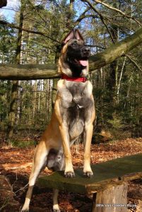 1-51567878 837750409904617 7900904967366508544 n