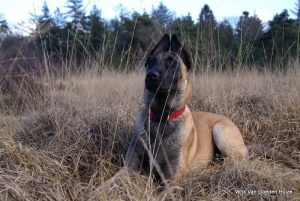 1-51742014 837751106571214 2038614288700014592 o