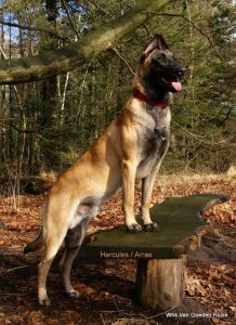 1-52596492 837751066571218 850803227149467648 o-001