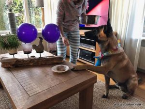 1-56697026 871435706536087 6697455131027308544 n