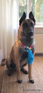 1-56786234 871435493202775 677045922848309248 n